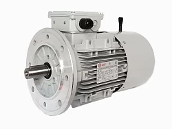 Электродвигатель АИС80B-4-Е 0.75kW F IP55 V220/380/50