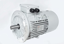 Электродвигатель АИС100LA-4-Е 2.2kW F IP55 V220/380/50